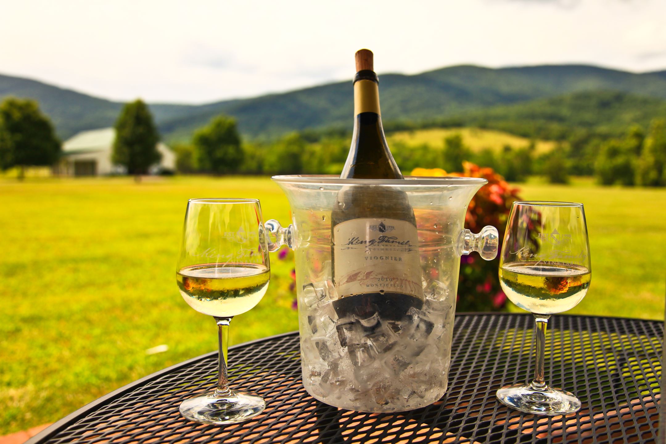 7 Tips for Beginner Tasters